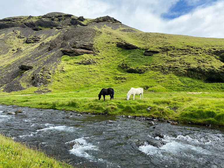 ICELANDIC SOUTH COAST