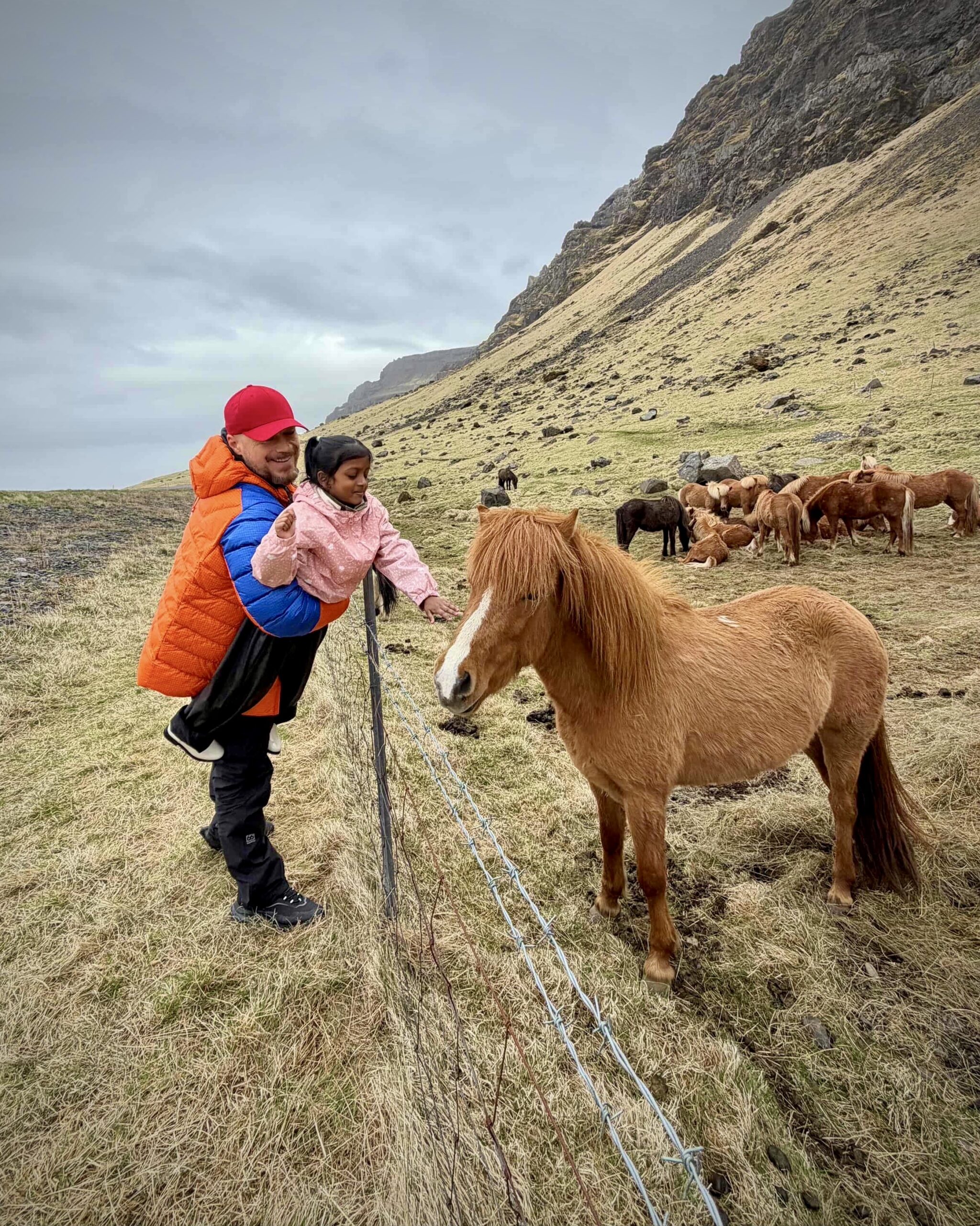 Picture of the guide and a small girl petting Icelandic Horses. Part of the South Coast tour with Arctic Mike